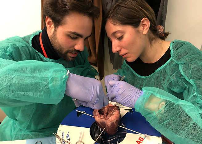 scalpel I