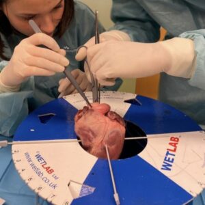 scalpel IV