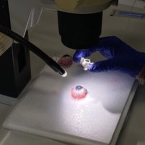 scalpel IV
