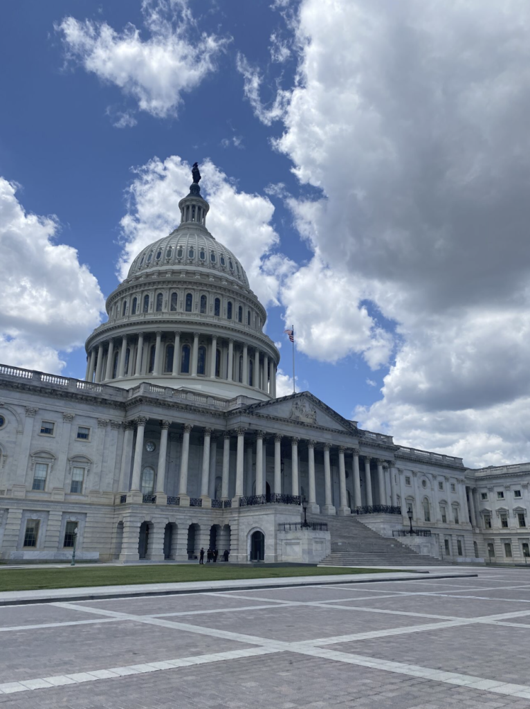 Capture d’écran 2024-10-30 à 12.59.28